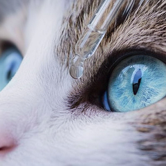 advantages-silver image